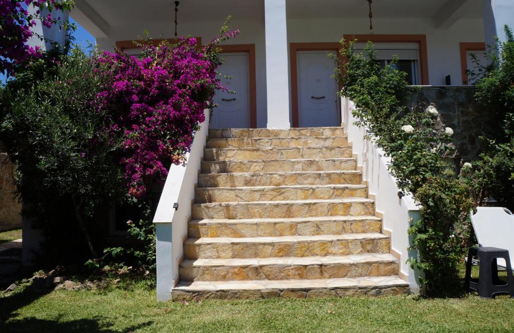 A garden outside Michaella's Maissonete at Rafaella Resort