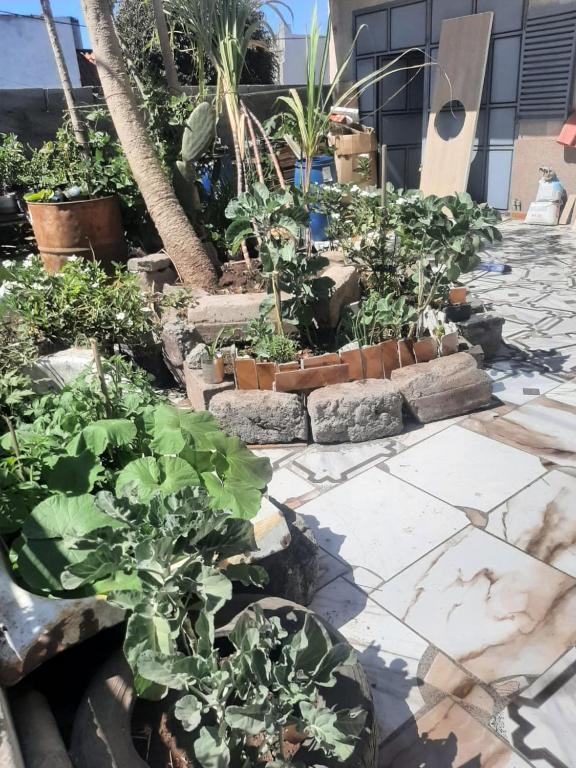 Zahrada ubytování Casa Tota