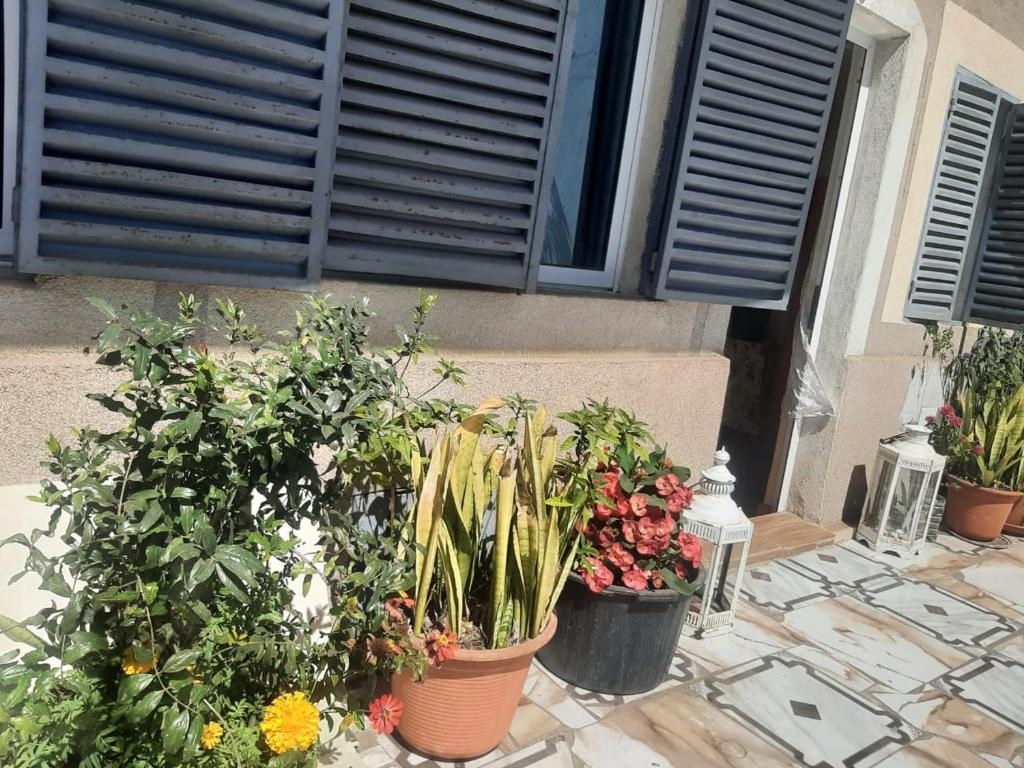 Zahrada ubytování Casa Tota