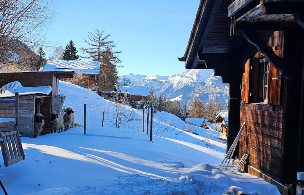 Mayen La Grangette, bulle d'évasion - Resim 15