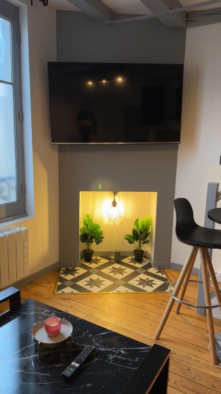 un salon avec une cheminée et deux plantes en pot dans l'établissement Le Gris métal, T2 duplex, centre ville historique, à Bourges
