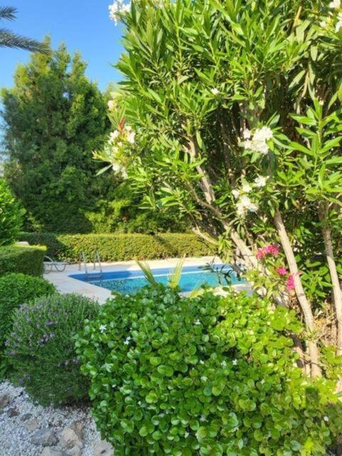 Cyprus Beachfront Paradise Villa Private Pool
