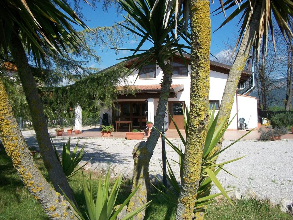 a house with palm trees in front of it at Agriturismo PrimErio in Hermada