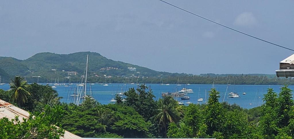 une vue d'un port avec des bateaux dans l'eau dans l'établissement La maison de Lise, au Marin