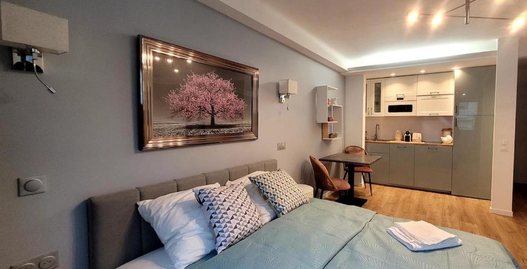 Η κουζίνα ή μικρή κουζίνα στο Cozy studio in the heart of Cannes