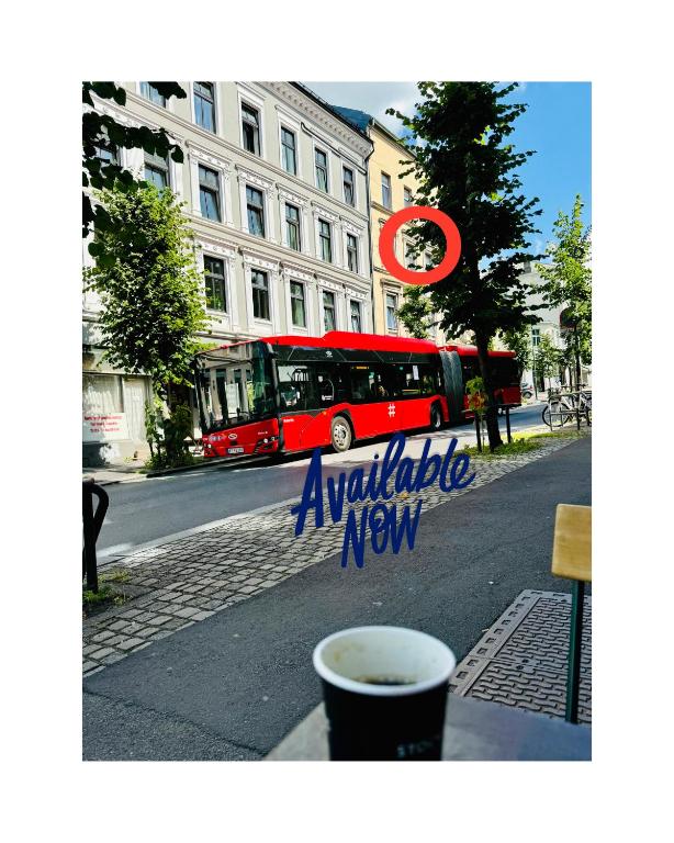 RELAXED LIVING No 02 Historic Oslo - Resim 26