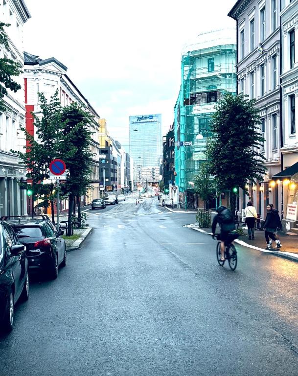 RELAXED LIVING No 02 Historic Oslo - Resim 25