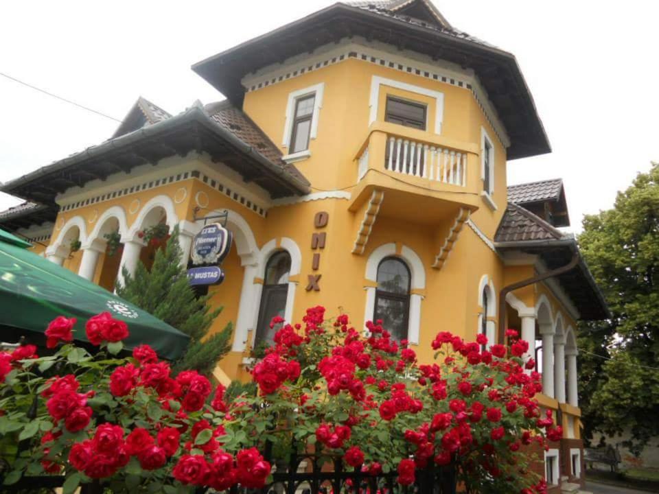een geel huis met rode bloemen ervoor bij Pensiunea Onix in Făgăraş