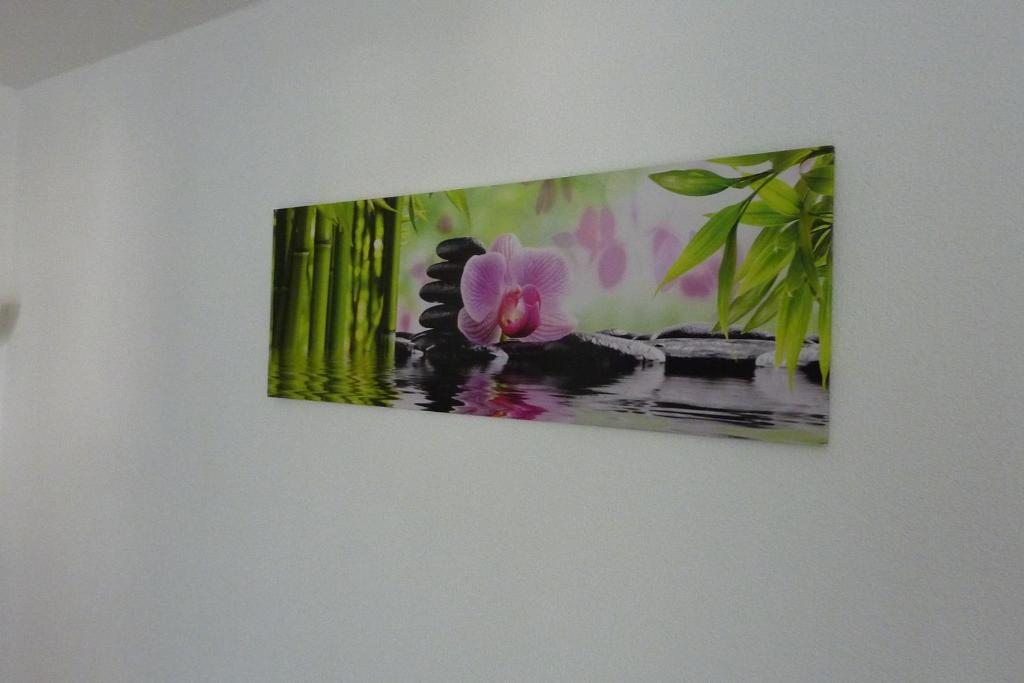 una foto de una flor rosa en una pared en A&M-Wohnen, en Ravensburg