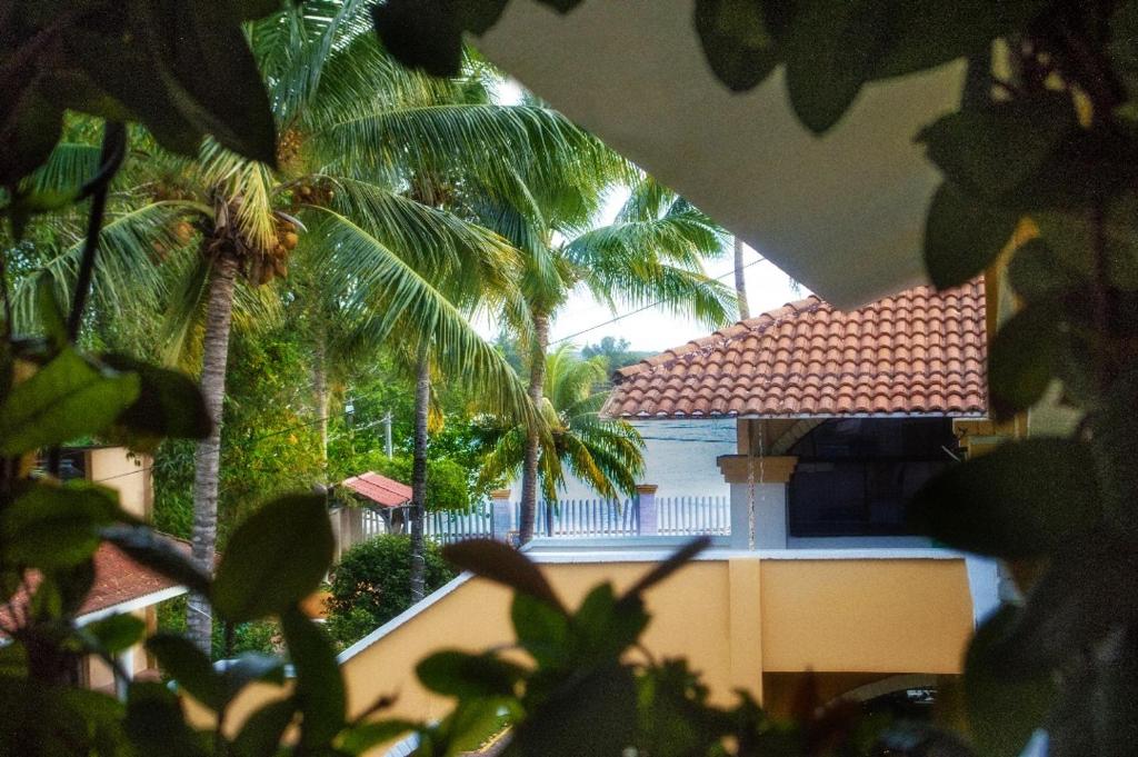 Zahrada ubytování Hotel Gran Palmeiras