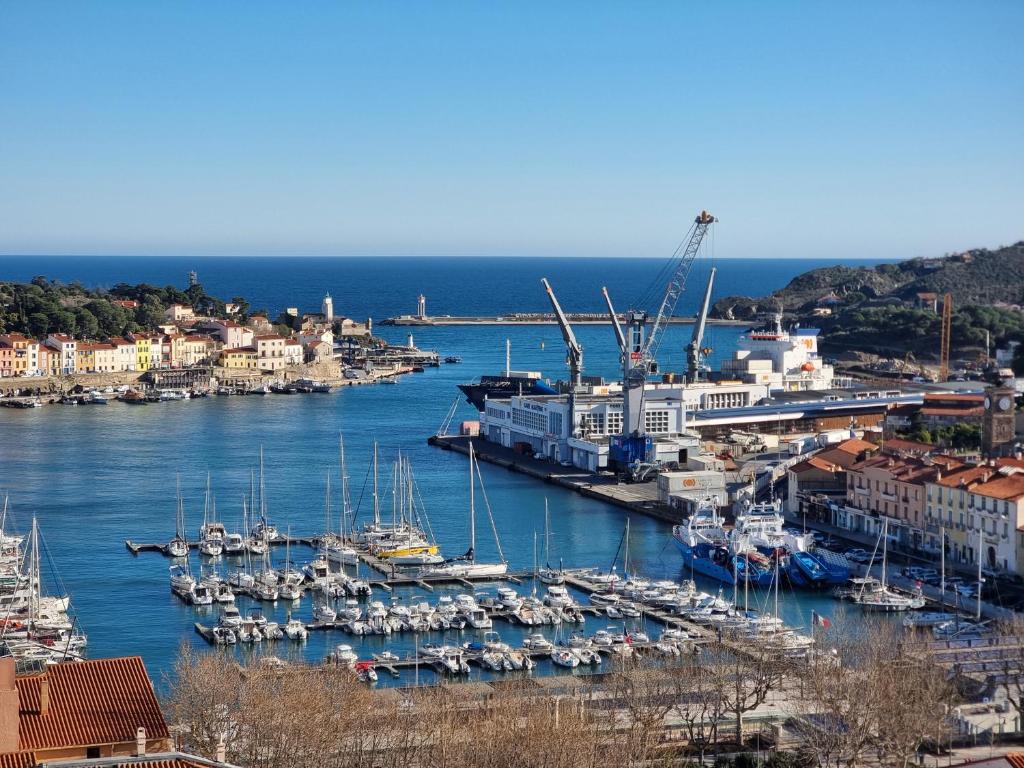 un groupe de bateaux amarrés dans un port dans l'établissement Port-Vendres: Studio cabine avec terrasse, à 2 pas du port - FR-1-309-256, à Port-Vendres