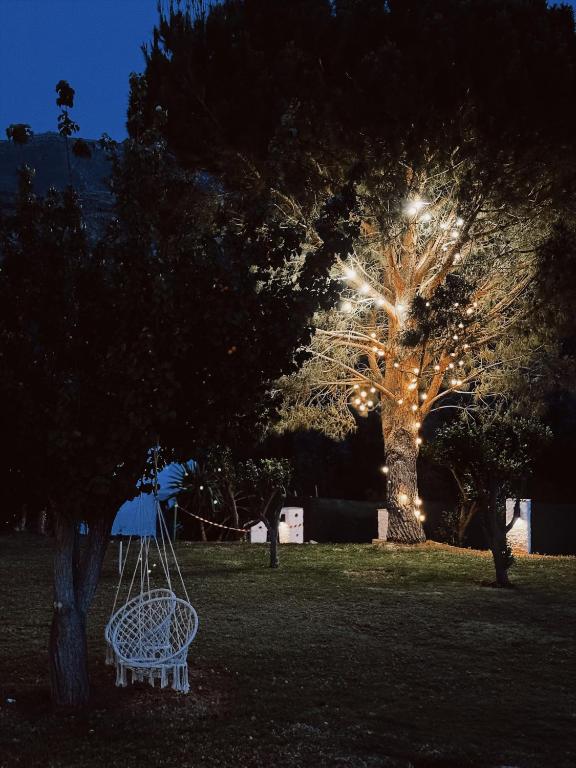 Zahrada ubytování Hotel Taray Botanico