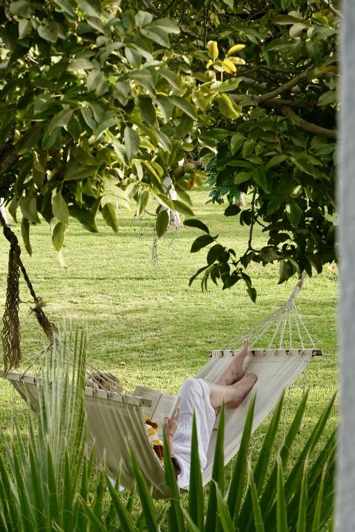 Zahrada ubytování Hotel Taray Botanico