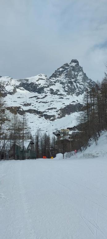Monolocale sulle piste del Cervino Residence Rododendro v zime
