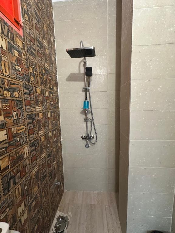 Fotografie z fotogalerie ubytování Palm Geust House v destinaci Asuán