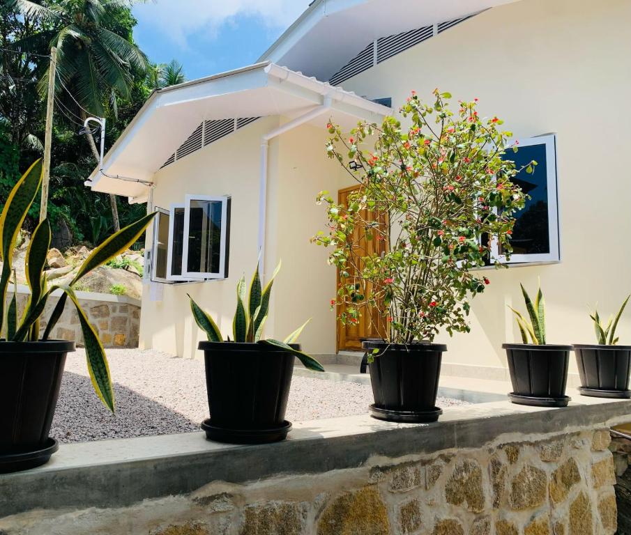 a row of potted plants on a wall in front of a house at Coco Vanille Chalets in Takamaka