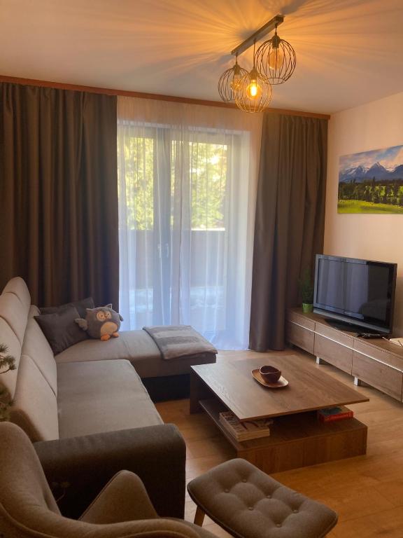 TV a/nebo společenská místnost v ubytování Apartment Tatry mountain