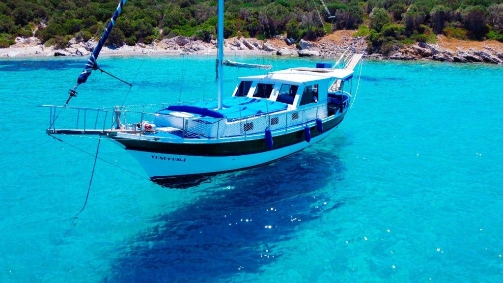 Bodrum Private Boat Tours -Daily -Yacht Tours Bodrum - Casa Móvel