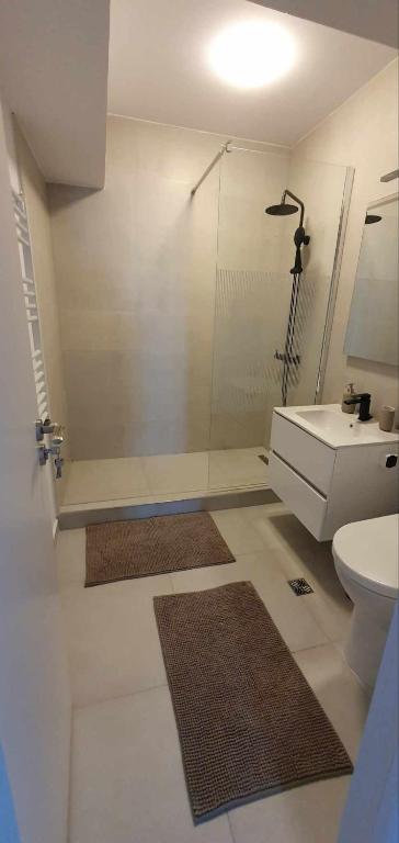 a bathroom with a shower and a sink and a toilet at Bella Vista Primavera 1124 in Bucharest