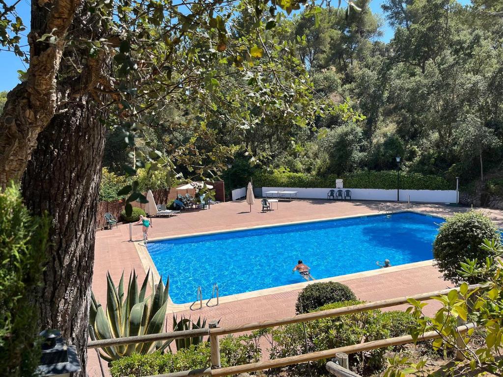 Πισίνα στο ή κοντά στο Parc Golfet - Apartamento para 3 con WiFi, AC y Piscina