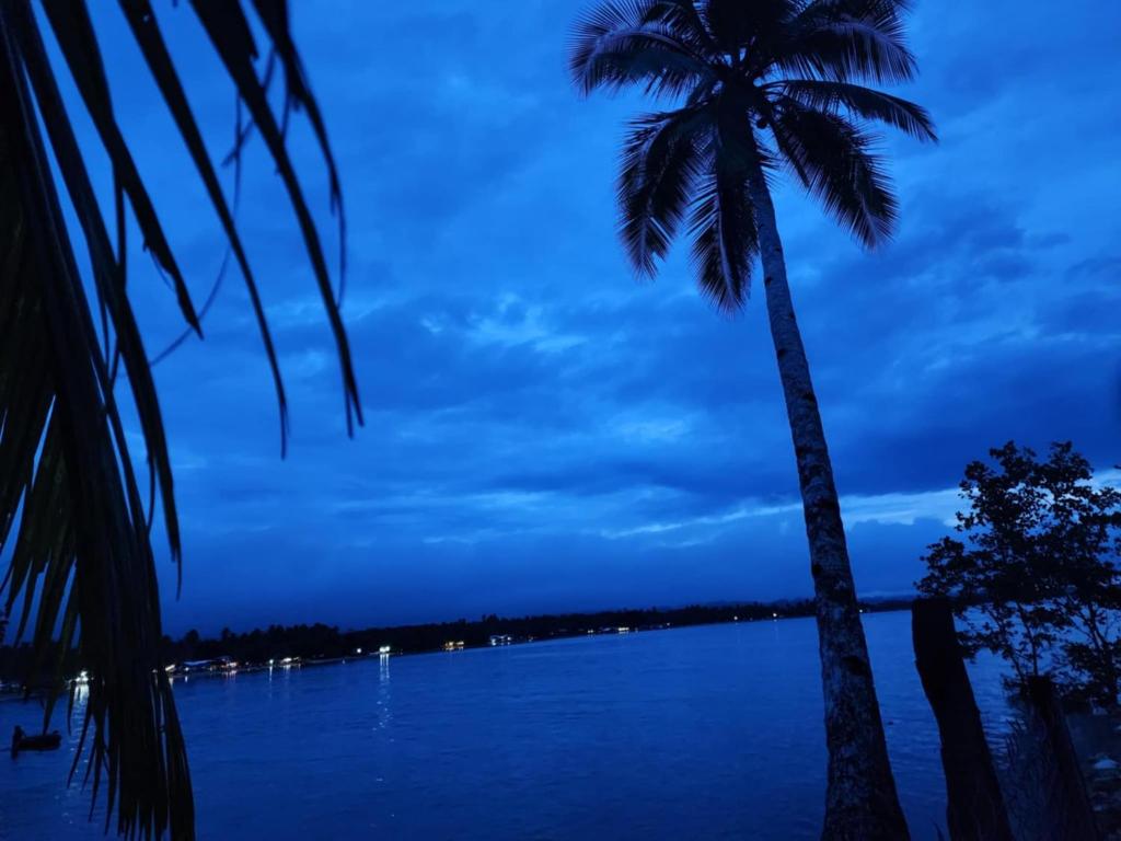 two palm trees standing next to a body of water at JFive Homes by the Sea in Lianga