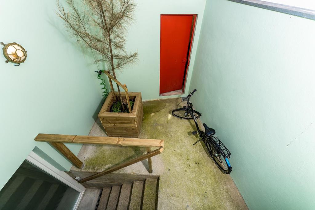 Olá Vida - Hostel Caminha - 5