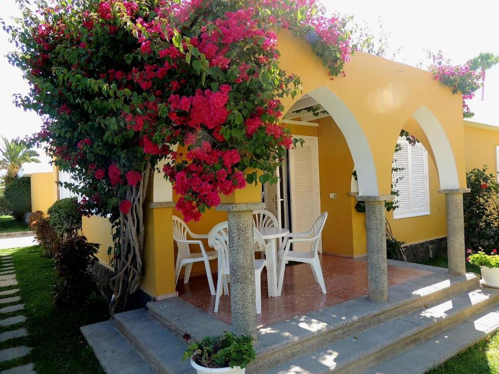 a house with a bunch of flowers on a patio at HANDICAP 7 Bungalow 4 in San Bartolomé