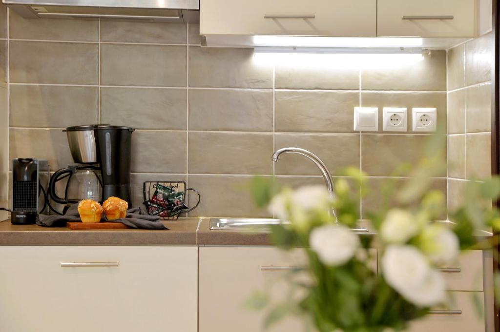 Kuchyňa alebo kuchynka v ubytovaní Alekos Apartments 1 - Νetflix & Comfort