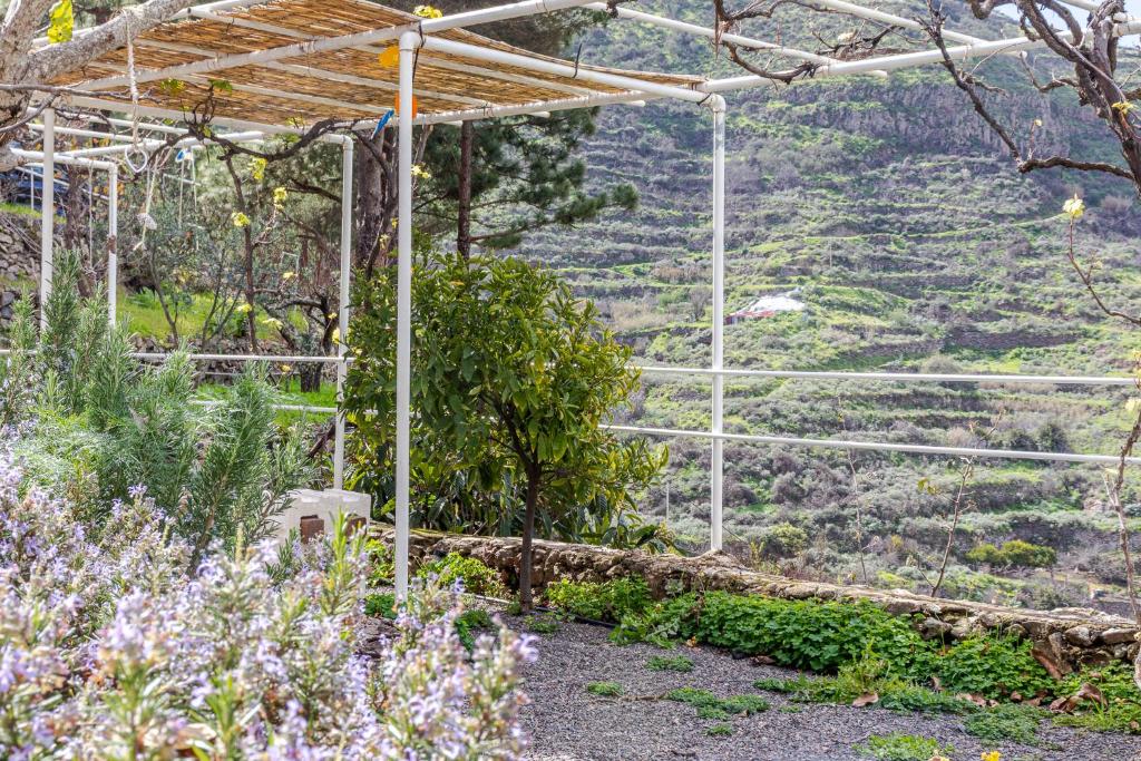 Zahrada ubytování Finca Cuevas La Solana