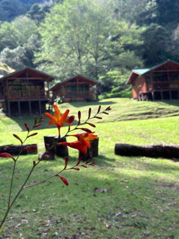 Zahrada ubytování Entre Árboles Lodge