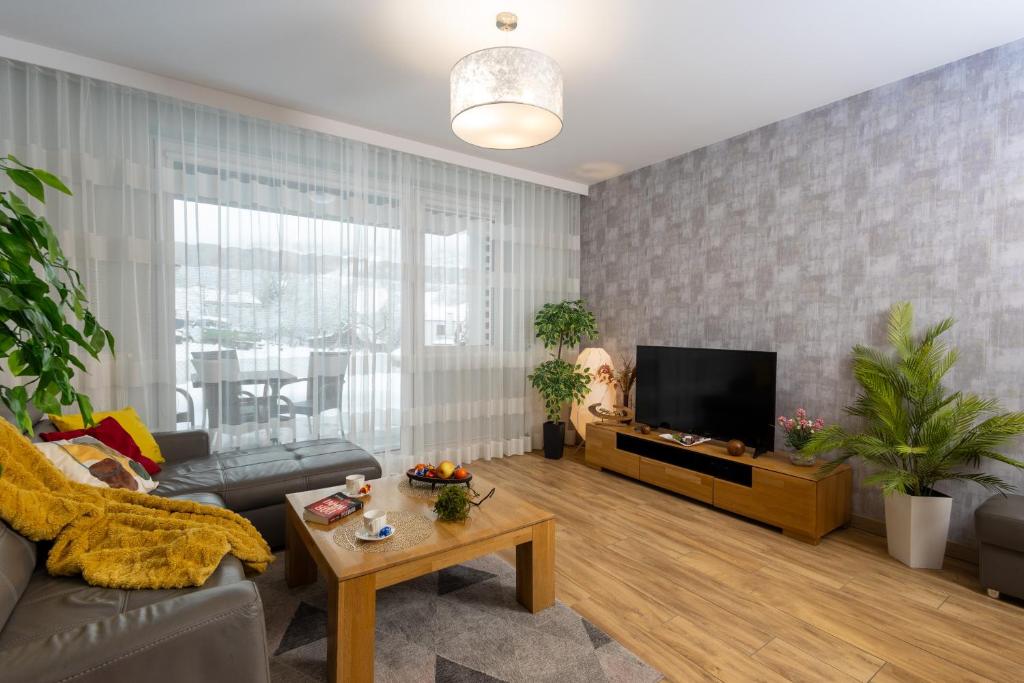 een woonkamer met een bank en een flatscreen-tv bij Apartament Atena - Beskid Apartment in Szczyrk