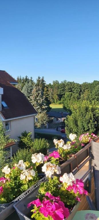 Fotografie z fotogalerie ubytování Ferienwohnung in Radeberg bei Dresden v destinaci Radeberg