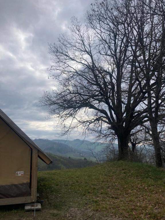 Paesaggio naturale nelle vicinanze di questo campeggio di lusso