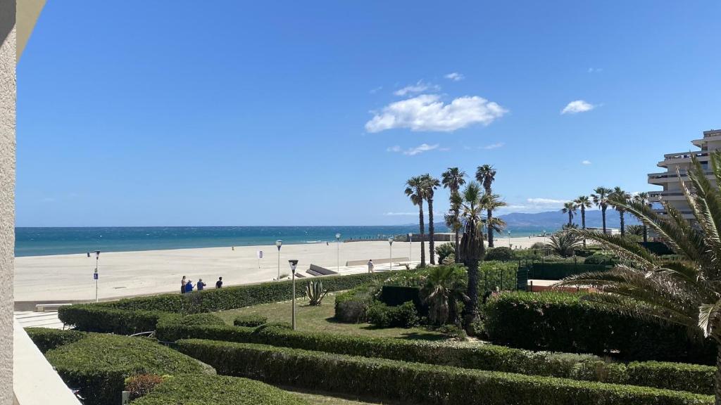 une vue sur une plage avec des palmiers et l'océan dans l'établissement Appartement vue mer pour 4 personnes, à Canet