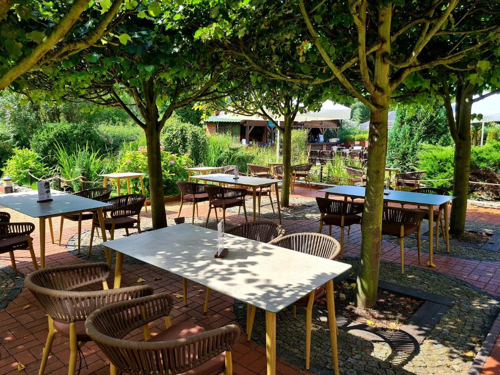 Dom Oliwski - Resim 17