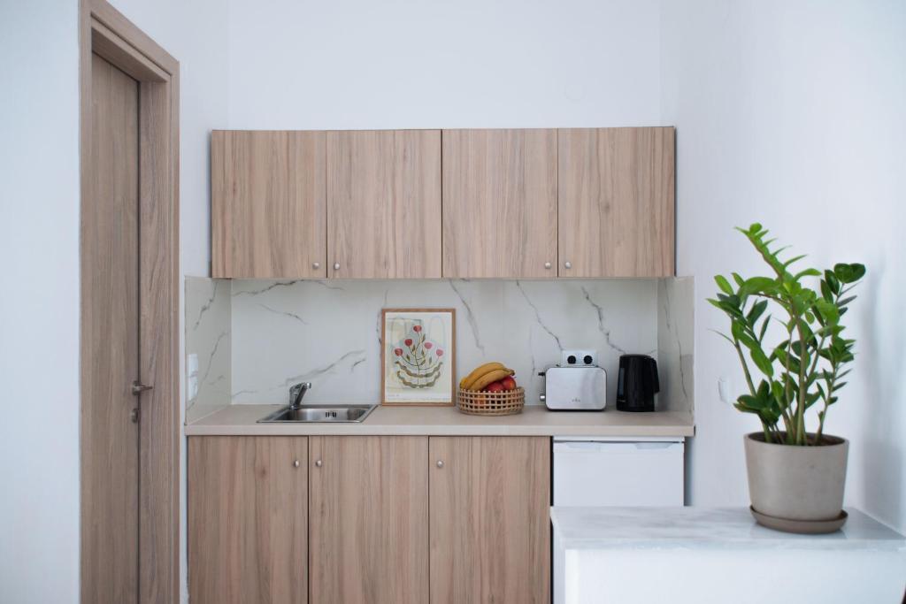 a kitchen with wooden cabinets and a sink at Seaside Suites in Kavos