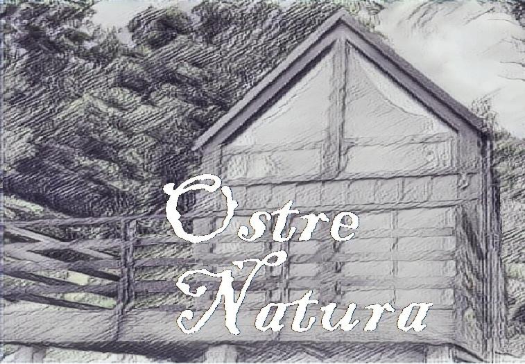 Fotografie z fotogalerie ubytování Ostre Natura v destinaci Ostre