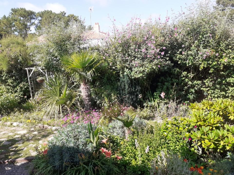 a garden with many different types of plants at Villa Les Palmiers in Saint-Jean-de-Monts
