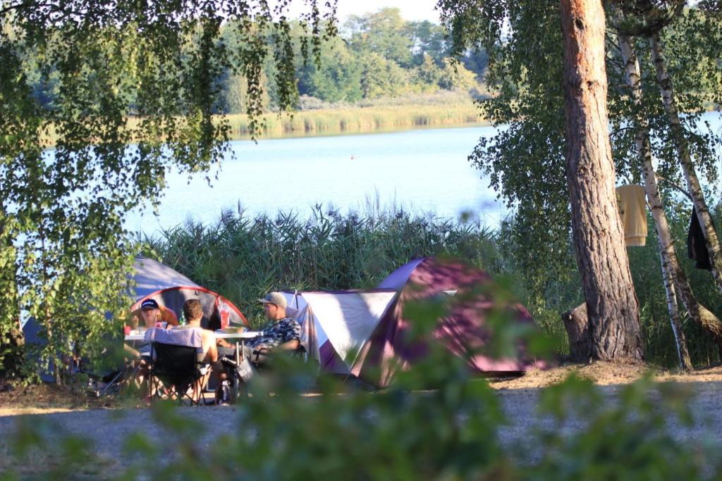 Příroda nedaleko kempu