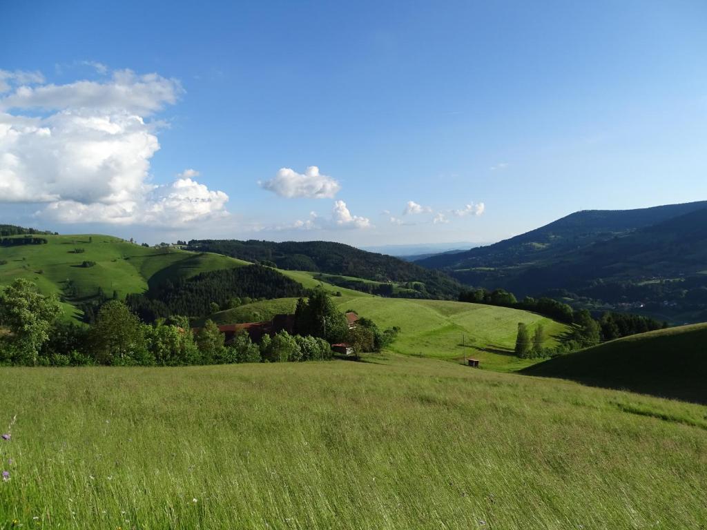 Příroda nedaleko apartmánu