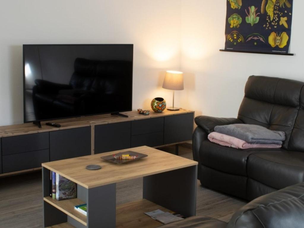 TV a/nebo společenská místnost v ubytování Ferienwohnung Gute Zeit - Apartment 1