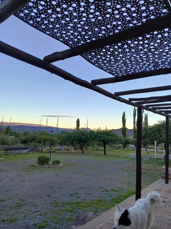 Fotografie z fotogalerie ubytování Cabañas El Fuerte v destinaci Cachí