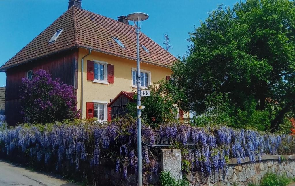 Zahrada ubytování Haus Oskar