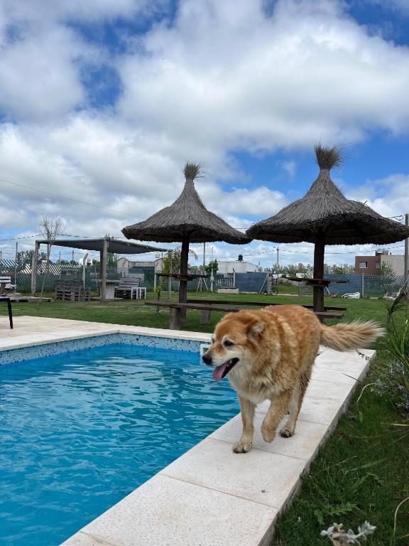 Quinta La Deseada Brandsen