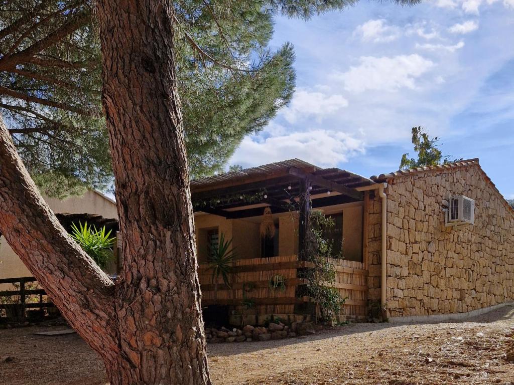 a stone house with a tree in front of it at mini villa 72, résidence avec piscine. in Serra-di-Ferro