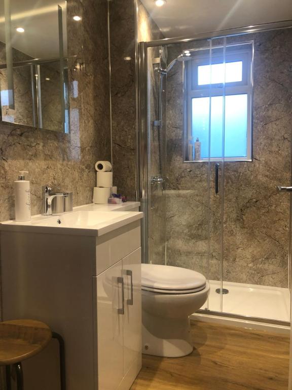 Un baño con inodoro y ducha de cristal. en Reay Street Apartment, en Inverness