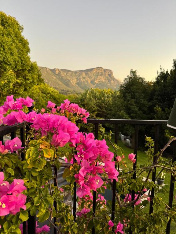 Naturlandskabet i nærheden af lejligheden