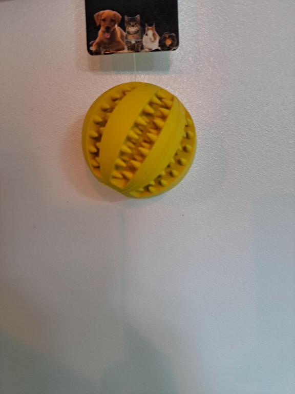a yellow plastic baseball hanging on a wall at Villa Atlas Marrakech in Marrakesh