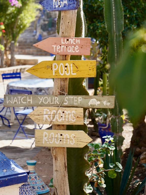 Certifikát, hodnocení, plakát nebo jiný dokument vystavený v ubytování Tasra Surf Paradise, Imsouane