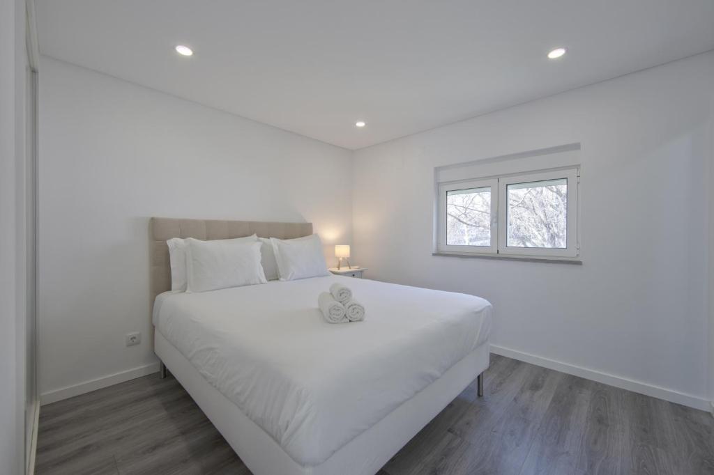 Olivais Modern by Homing